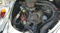 VW Beetle Standard (1966)