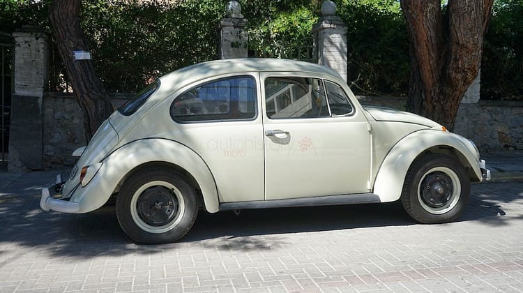 VW Beetle Standard (1966)